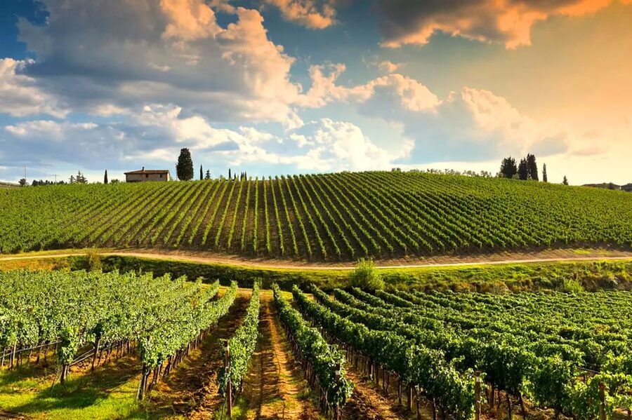 Romantic Escape in Tuscany with Overnight and Wine Tasting - Key points to know before booking