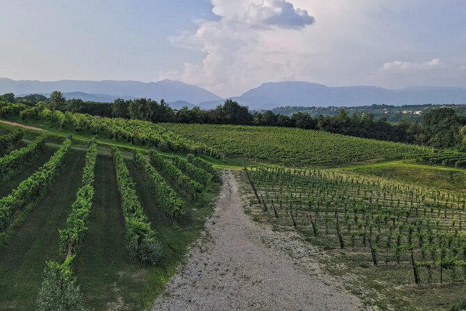 Romantic Evening Tasting with the Best Prosecco - Cold cuts and cheeses from the estate
