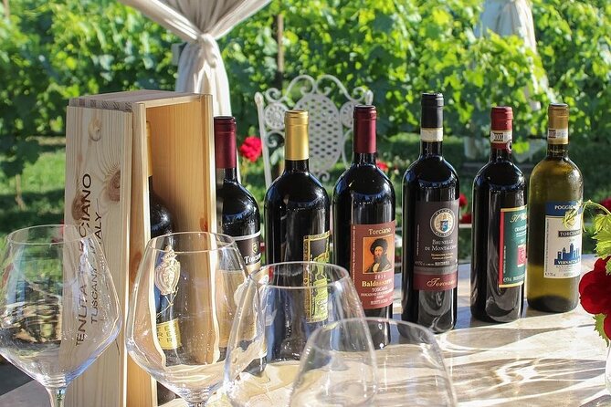 Romantic Lunch in the Vine Rows in Tuscany - Lunch among the vines near San Gimignano