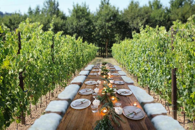 Romantic Lunch in the Vine Rows in Tuscany - Is $227.67 per person a fair value?
