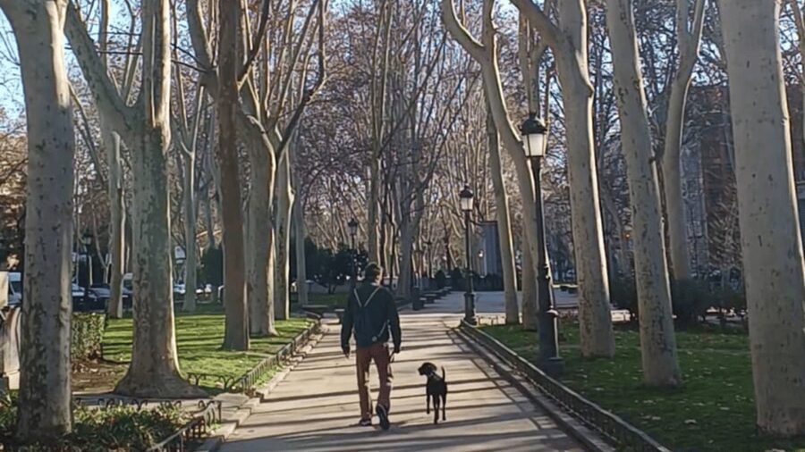 Romantic Madrid in the 19th century - Is $17 good value?