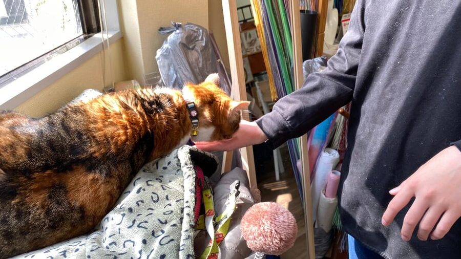 Romantic Mizuhiki Knot and Omikuji Washi Charm Workshop Ueno - The shop cat and the practical allergy note