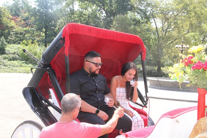 Romantic Proposal Carriage Tour in Central Park - Starting near West 59th Street