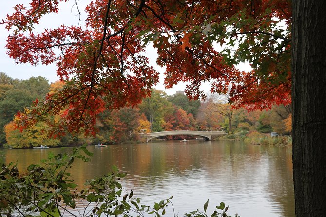Romantic Proposal Carriage Tour in Central Park - Bethesda Fountain adds scale and history