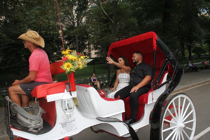Romantic Proposal Carriage Tour in Central Park - The lake and gazebo option may be the quietest moment