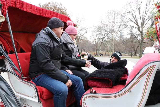 Romantic Proposal Carriage Tour in Central Park - What the included extras are worth