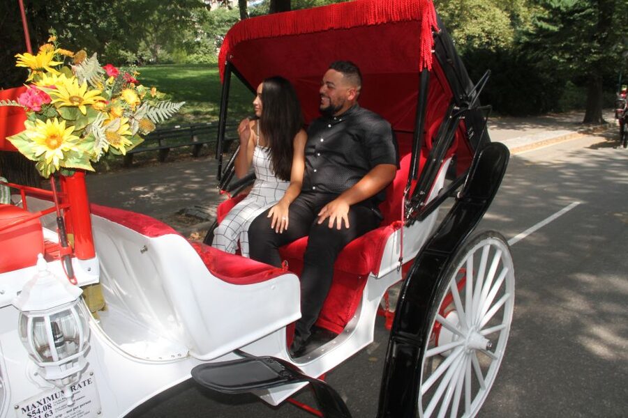 Romantic/Proposal Central Park Carriage Tour Up to 4 Adults - Key points to know before you book