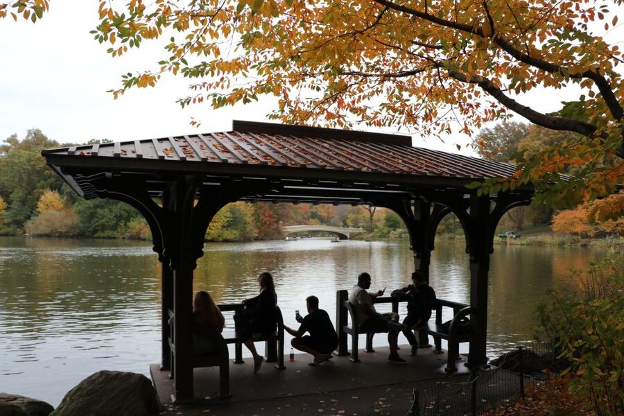 Romantic/Proposal Central Park Carriage Tour Up to 4 Adults - Weather, comfort, and seasonal planning