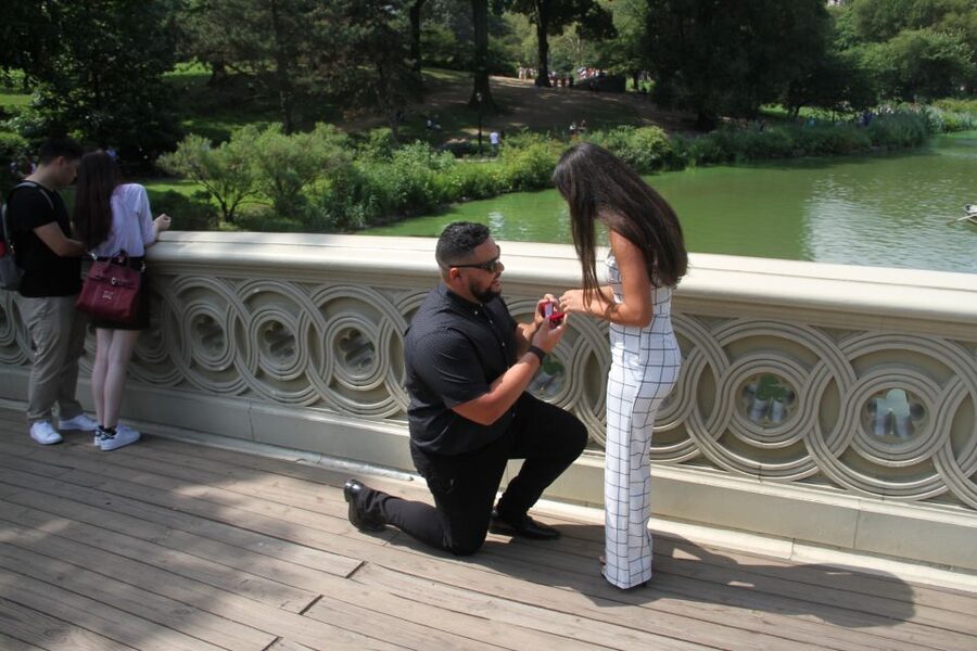 Romantic/Proposal Central Park Carriage Tour Up to 4 Adults - What the 50-minute ride feels like