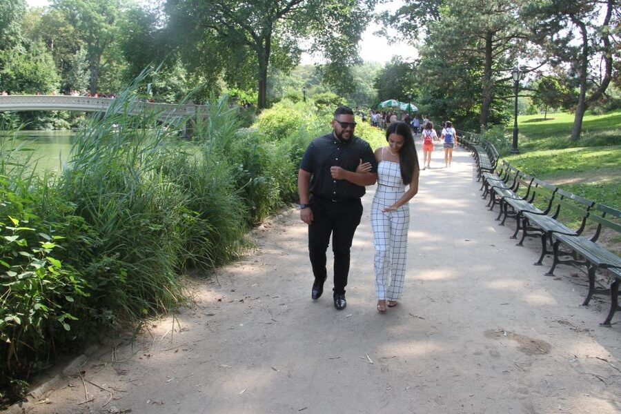 Romantic/Proposal Central Park Carriage Tour Up to 4 Adults - Choosing Bow Bridge for the proposal