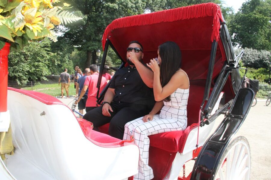 Romantic/Proposal Central Park Carriage Tour Up to 4 Adults - Choosing Bethesda Fountain and Terrace