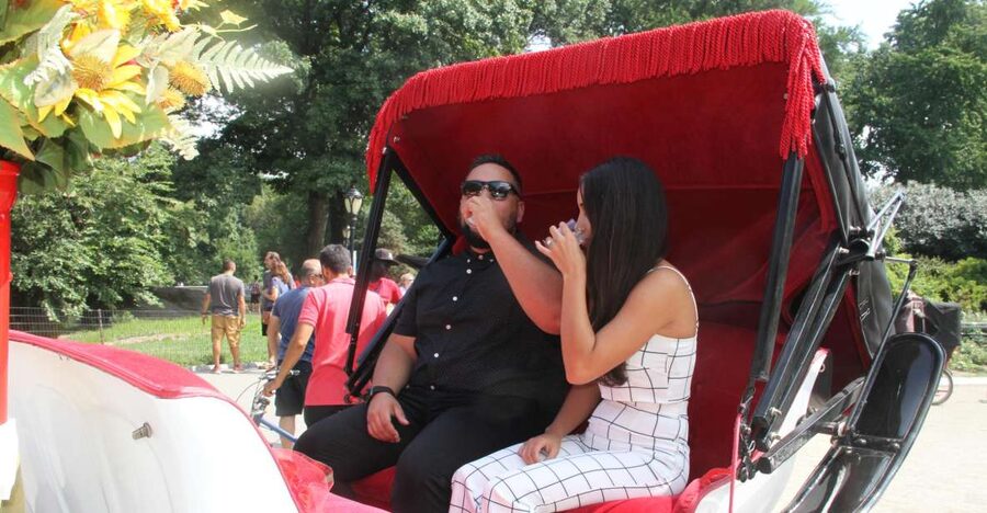 Romantic/Proposal Central Park Carriage Tour Up to 4 Adults - Adding the photographer for $100
