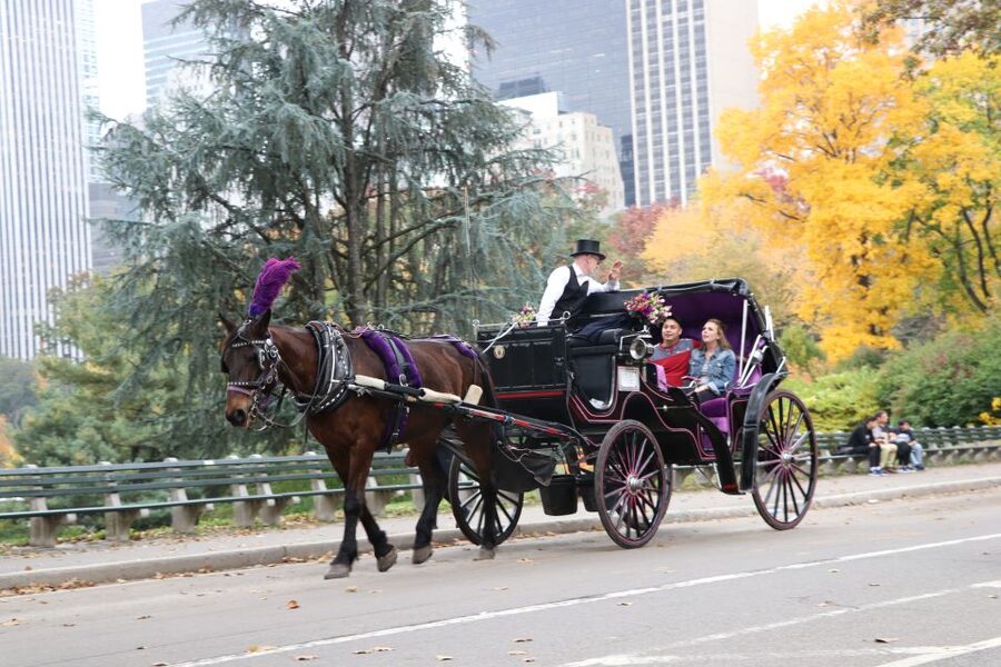 Romantic/Proposal Central Park Carriage Tour Up to 4 Adults - Is $425 good value for four people?
