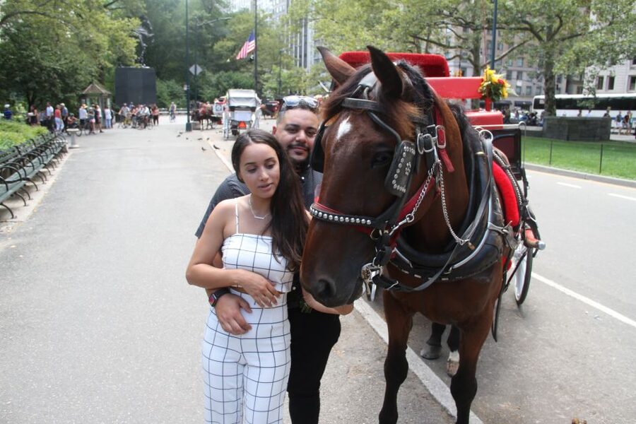 Romantic/Proposal Central Park Carriage Tour Up to 4 Adults - Meeting at the José Julián Martí Statue
