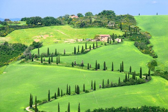 Romantic Vespa Tour and Wine Tasting - One Vespa or two?
