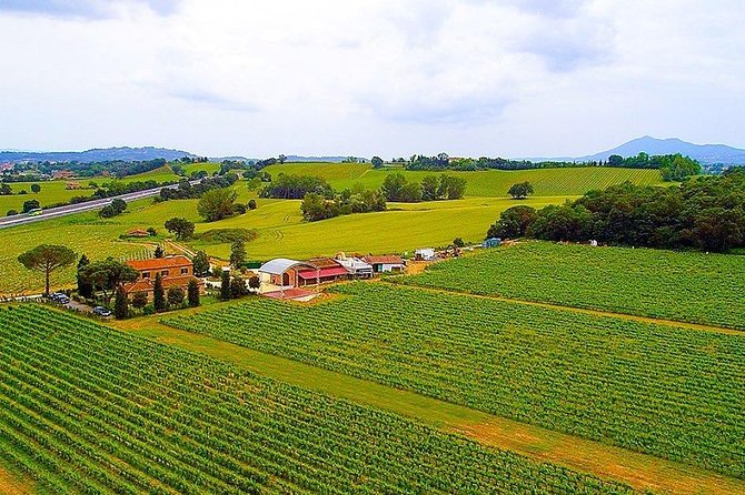 Romantic Vespa Tour and Wine Tasting - The ride through Val d’Orcia