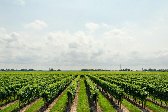 Romantic Wine Escape by Perlage Rheingau - Who will enjoy this tour most