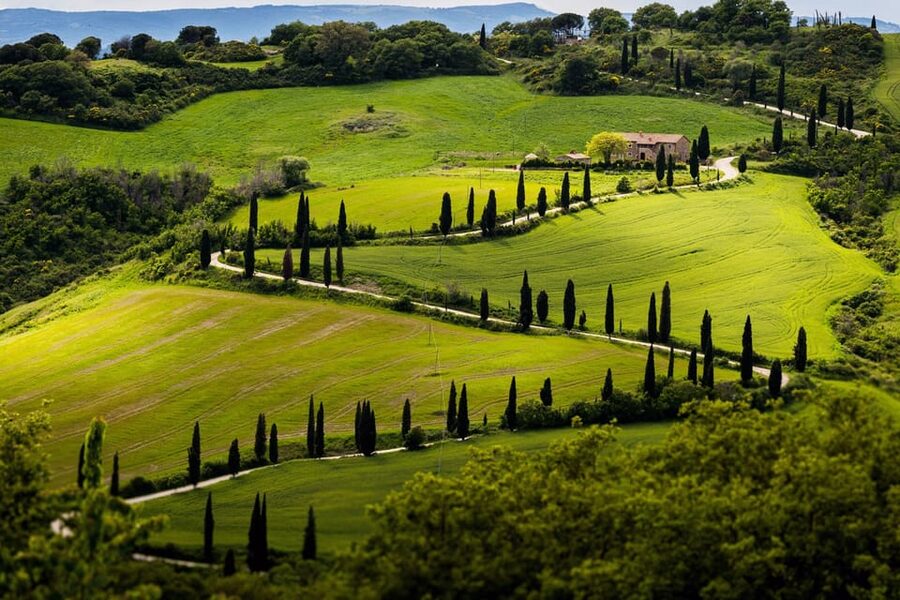 ROMANTIC WINE TOUR FOR 2 - Wine Tour in Chianti (Tuscany) - Timing, pickup, and a small booking warning
