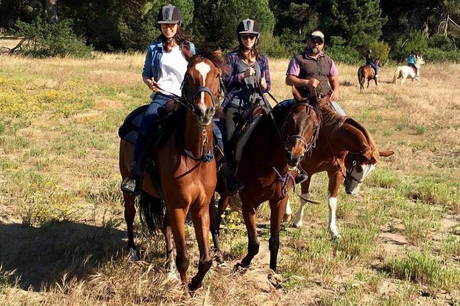 Rome : Horseback Riding with meals and wine included - Getting to Cavalieri di Gaia