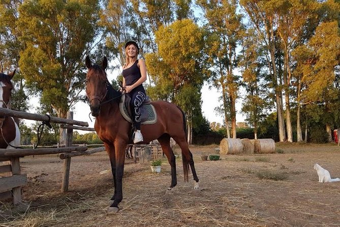 Rome : Horseback Riding with meals and wine included - Should you book the Cavalieri di Gaia ride?