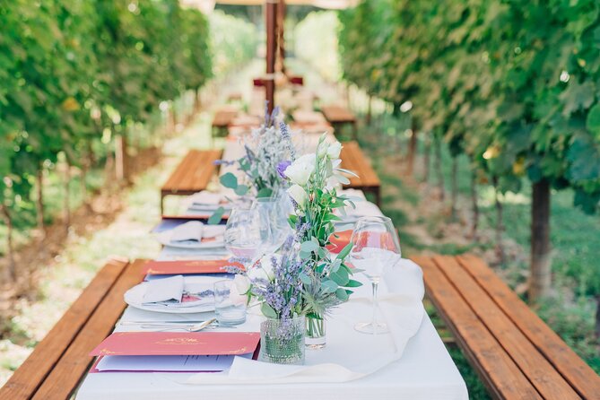 San Gimignano Romantic Dinner in the Vineyards - What the Wine Tasting Covers