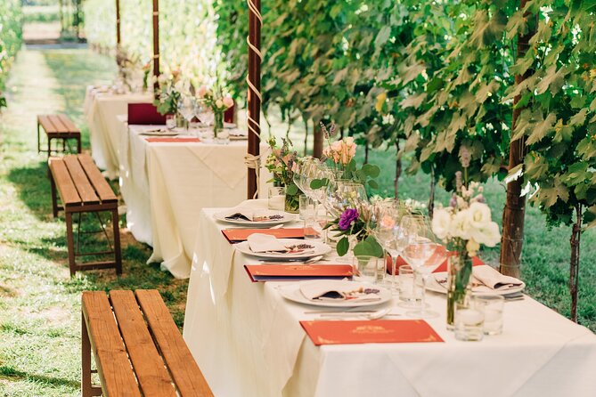 San Gimignano Romantic Dinner in the Vineyards - Should You Book the San Gimignano Vineyard Dinner?