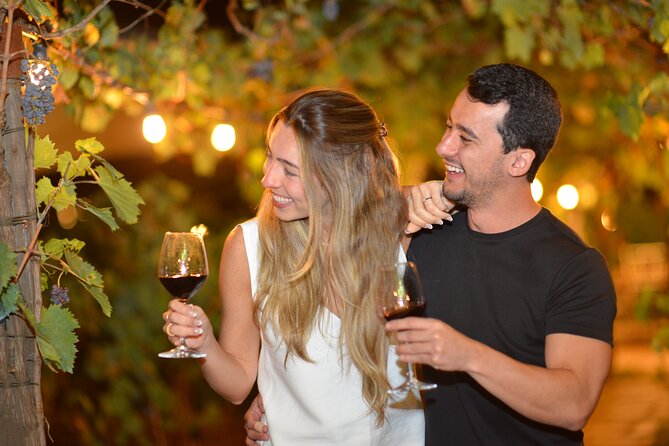 San Gimignano Romantic Dinner in the Vineyards - The Setting Makes the Evening