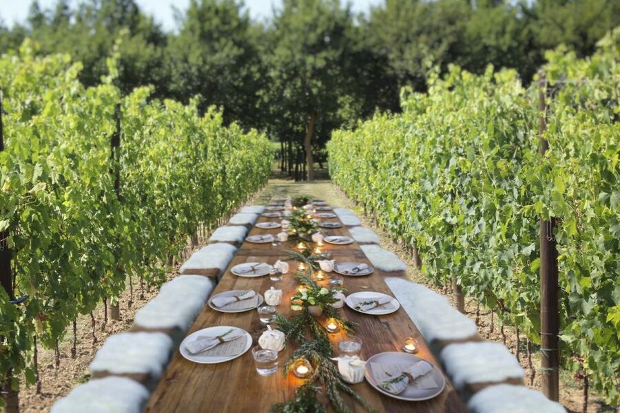 San Gimignano: Romantic Vineyard Dinner - The wine and olive oil tasting