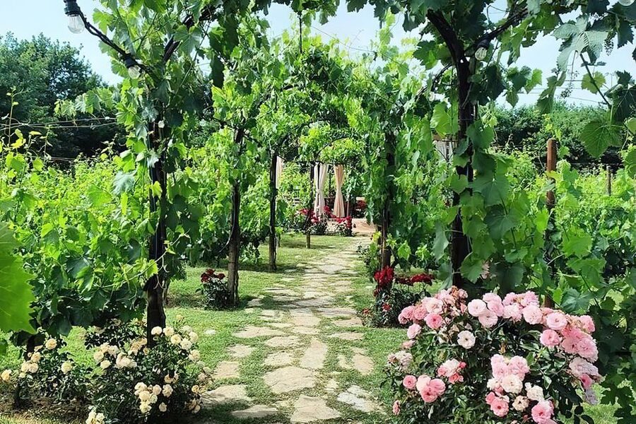 San Gimignano: Romantic Vineyard Dinner - Practical advice for planning your evening