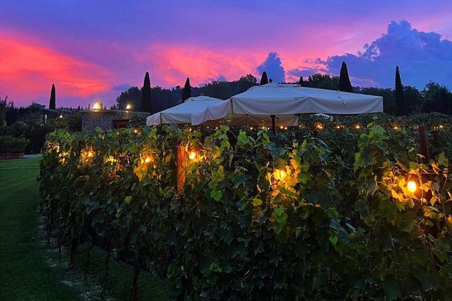 San Gimignano: Romantic Vineyard Dinner - Should you book the Tenuta Torciano vineyard dinner?