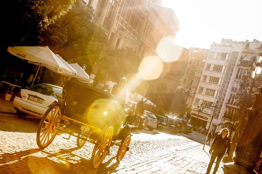 Seville: Authentic and Romantic Horse-Drawn Carriage Ride - Key points to know before booking