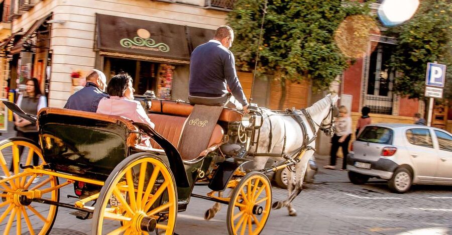 Seville: Authentic and Romantic Horse-Drawn Carriage Ride - Why a carriage is a good way to see Seville