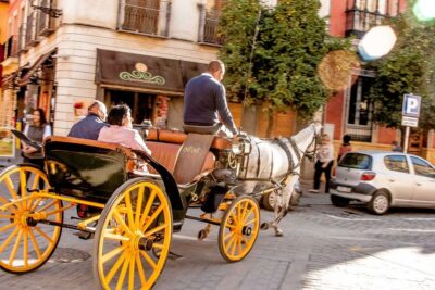 Authentic and Romantic Horse-Drawn Carriage Ride