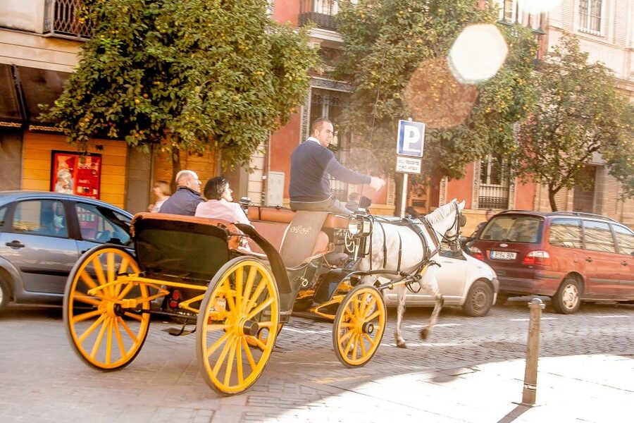 Seville: Authentic and Romantic Horse-Drawn Carriage Ride - Timing, weather, and comfort