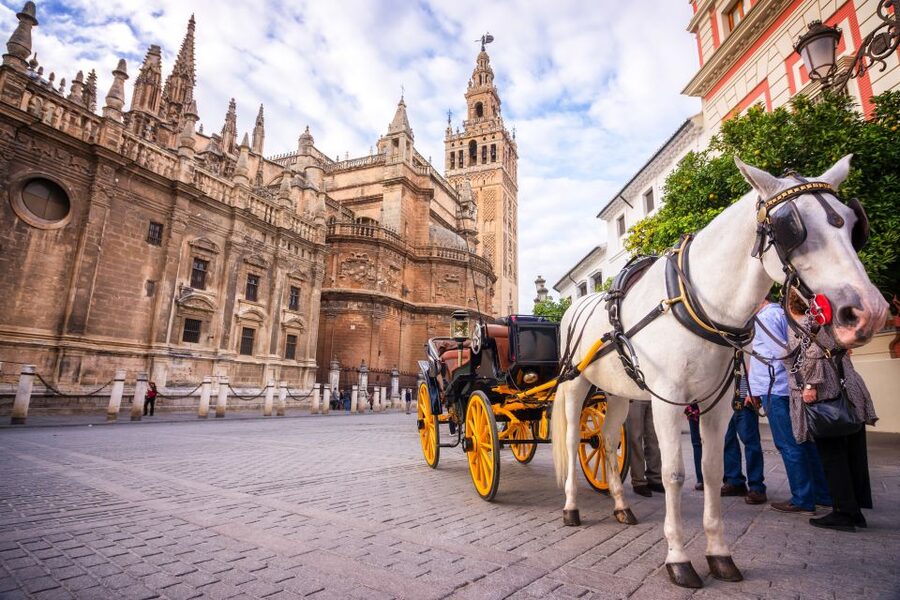Seville: Authentic and Romantic Horse-Drawn Carriage Ride - The horse, the pace, and the atmosphere