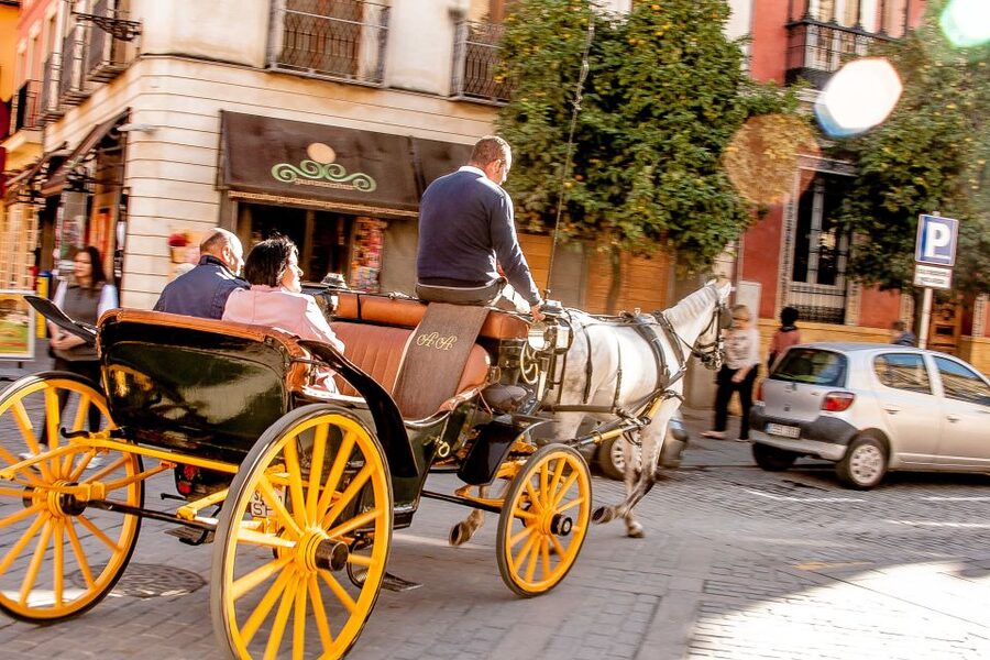Seville: Authentic and Romantic Horse-Drawn Carriage Ride - Maria Luisa Park and Plaza de España