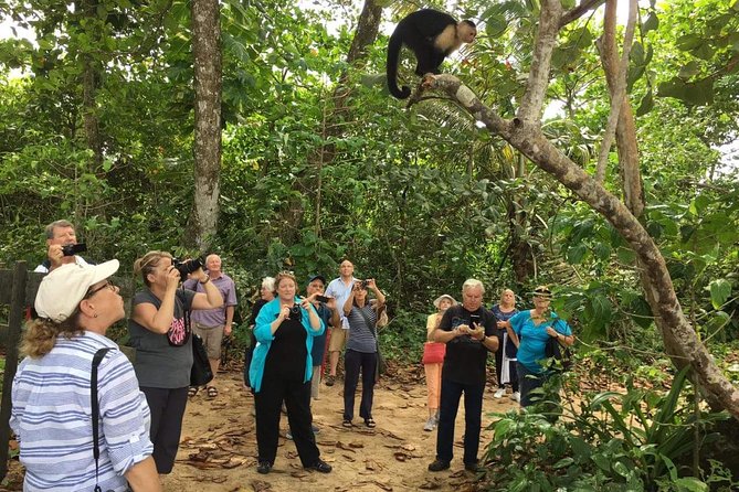 Sloths Lovers Tour. Puerto Limon Shore Excursion - Who should book, and who should think twice
