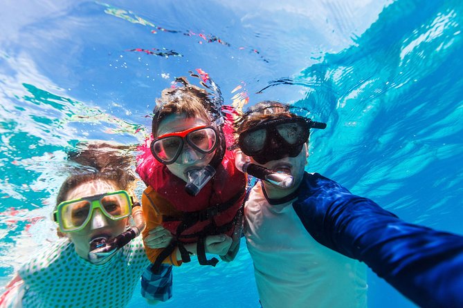 Snorkel & Swim with Turtles. Semi Private Tour to Buck Island & Honeymoon Beach - The boats vary, so set the right expectations