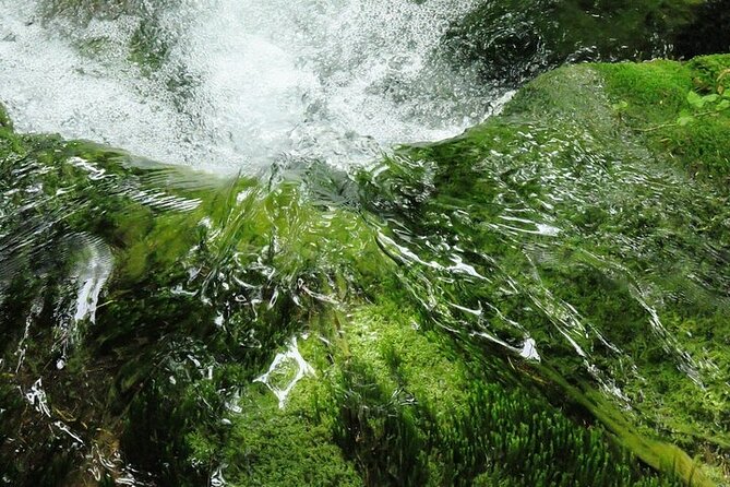 Split to Zagreb or airport Zagreb via Plitvice lakes for singles or couples - Who will get the most from this day