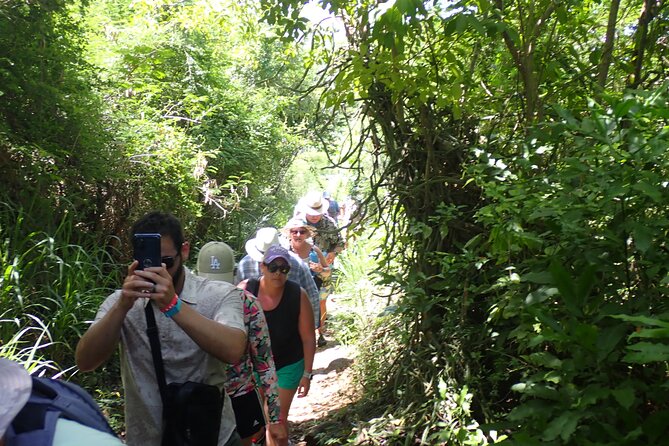 St. John Honeymoon Beach, Hike and Snorkel Adventure - Guided snorkeling with gear and water support