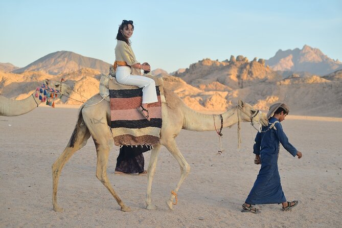 Starwatching, Camel Ride and Romantic Dinner in Hurghada Safari - Barbecue dinner under firelight