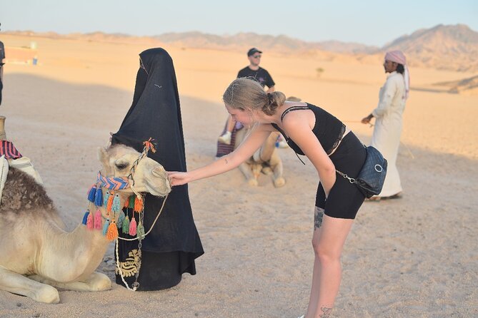 Starwatching, Camel Ride and Romantic Dinner in Hurghada Safari - Using telescopes beneath the desert sky