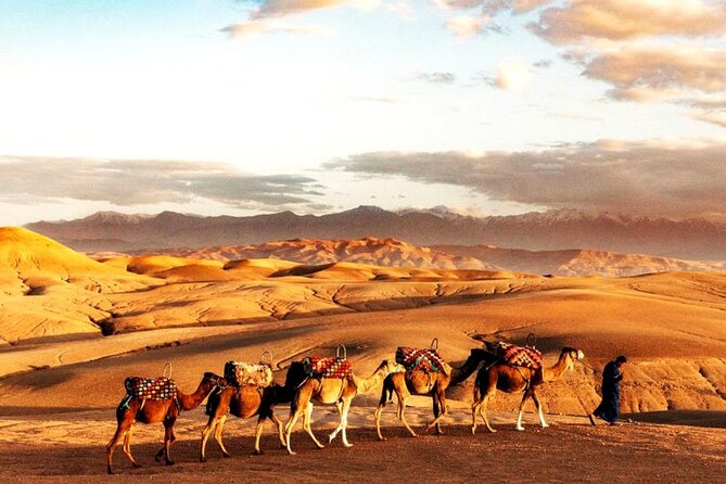 Sunset Dinner in Marrakech Desert with Quad bike - From Marrakech streets to Agafay Desert silence
