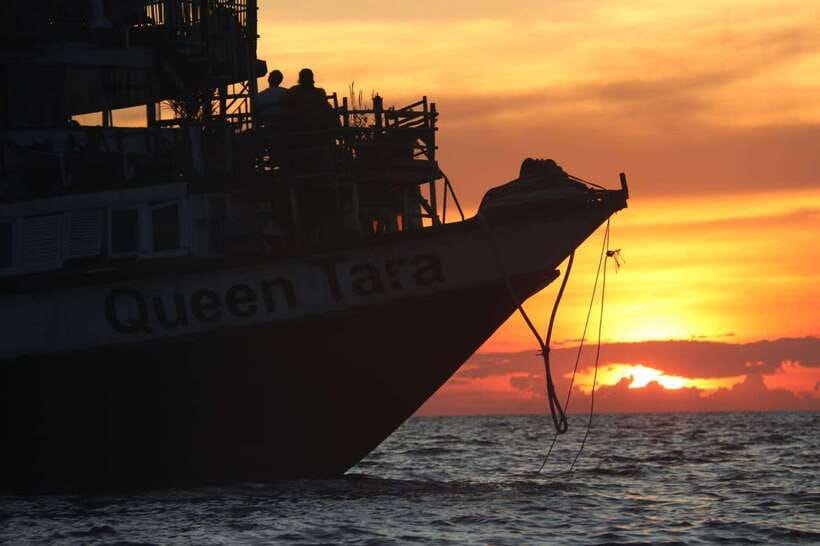 Sunset Dinner Tour: Tonle Sap Lake Floating Village - The crocodile and fish farm stop