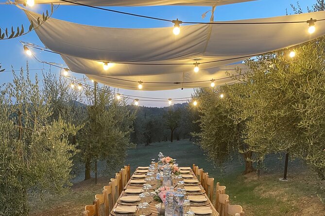 Think of a romantic meal in the Olive Trees shade, accompanied by Tuscan wines! - Arriving at Agriturismo Sanguineto near Montepulciano