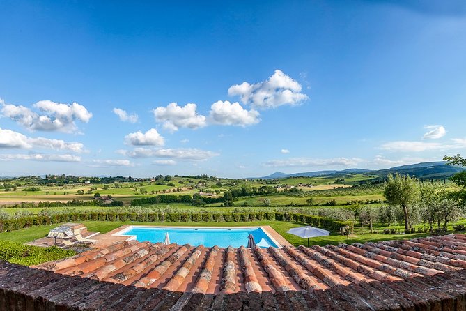 Think of a romantic meal in the Olive Trees shade, accompanied by Tuscan wines! - How the Montepulciano wine service works