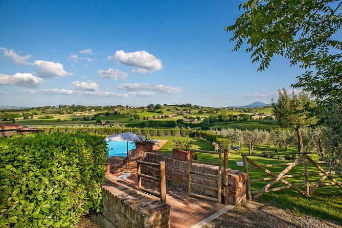 Think of a romantic meal in the Olive Trees shade, accompanied by Tuscan wines! - Service and the effect of group size
