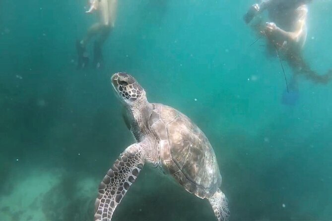 Two Hour Kayak and Snorkel Tour for Two in La Jolla - Why the sea caves are not part of this outing