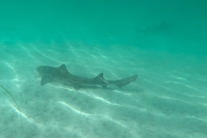 Two Hour Kayak and Snorkel Tour for Two in La Jolla - Equipment, wetsuits, and lockers