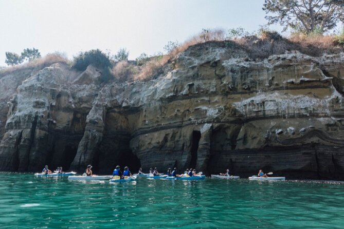 Two Hour Kayak and Snorkel Tour for Two in La Jolla - Is $159 for two people a fair value?